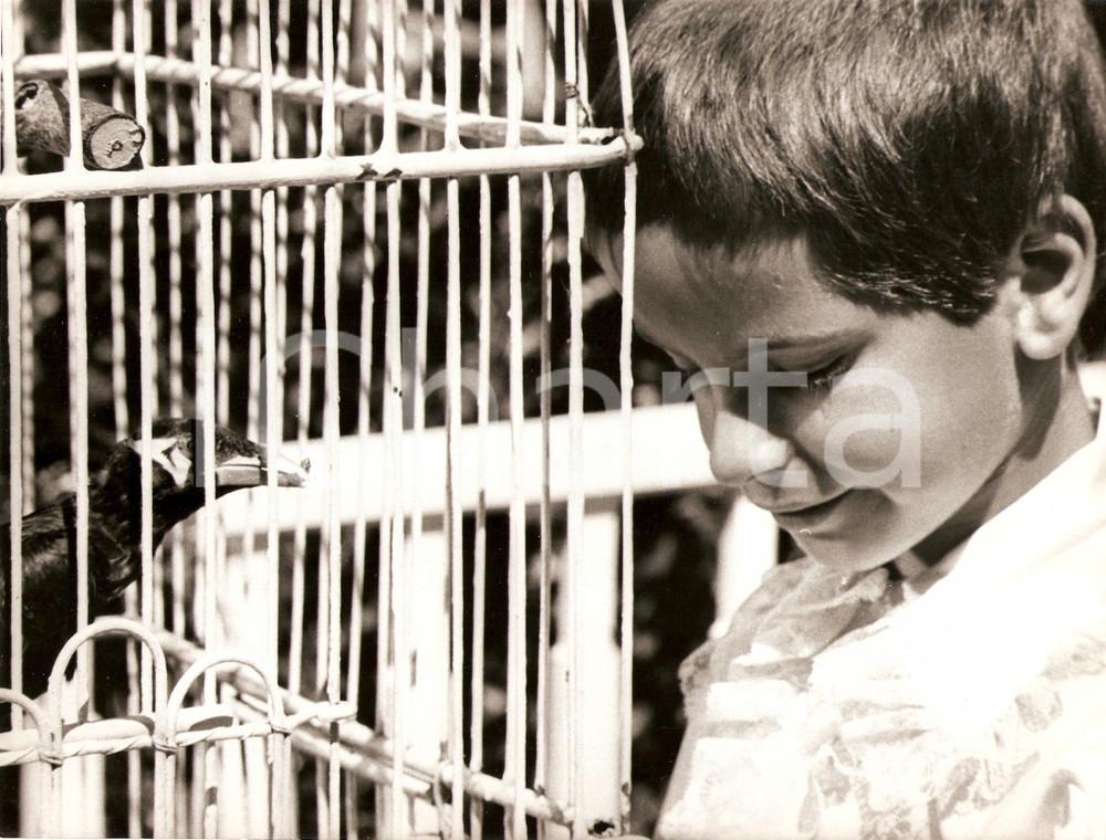Fotografia d epoca originale 1963 AU COEUR DE LA VIE Oiseau moqueur Eric FRANKIEL con merlo indiano Foto 1