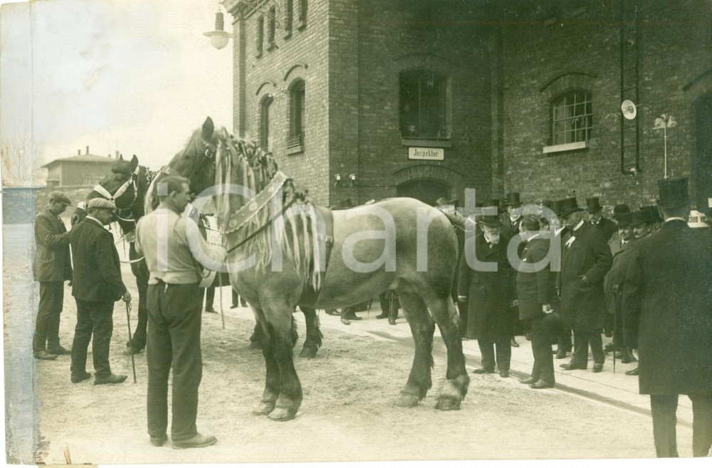Fotografia d epoca originale 1912 MUNICH DE Principe Luitpoldo di BAVIERA al mercato dei cavalli FOTO 1