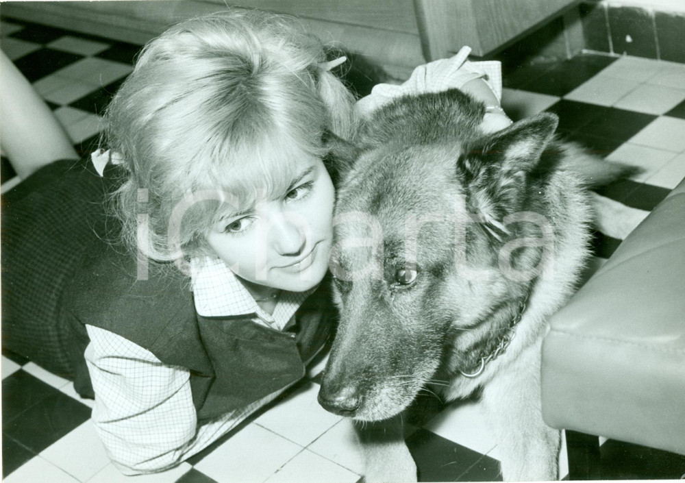 Fotografia d epoca originale 1965 ca USA Mannequin PEGGY si rilassa con il suo cane Fotografia 1
