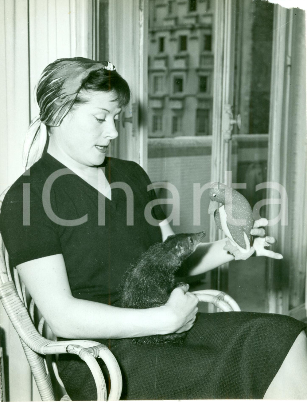 Fotografia d epoca originale 1960 ca PARIS Cantante Colette RENARD gioca con topo domestico Foto 1 1
