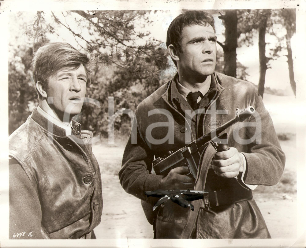 Fotografia d epoca originale 1961 ON THE FIDDLE Sean CONNERY Alfred LYNCH Movie by Cyril FRANKEL Photo 1