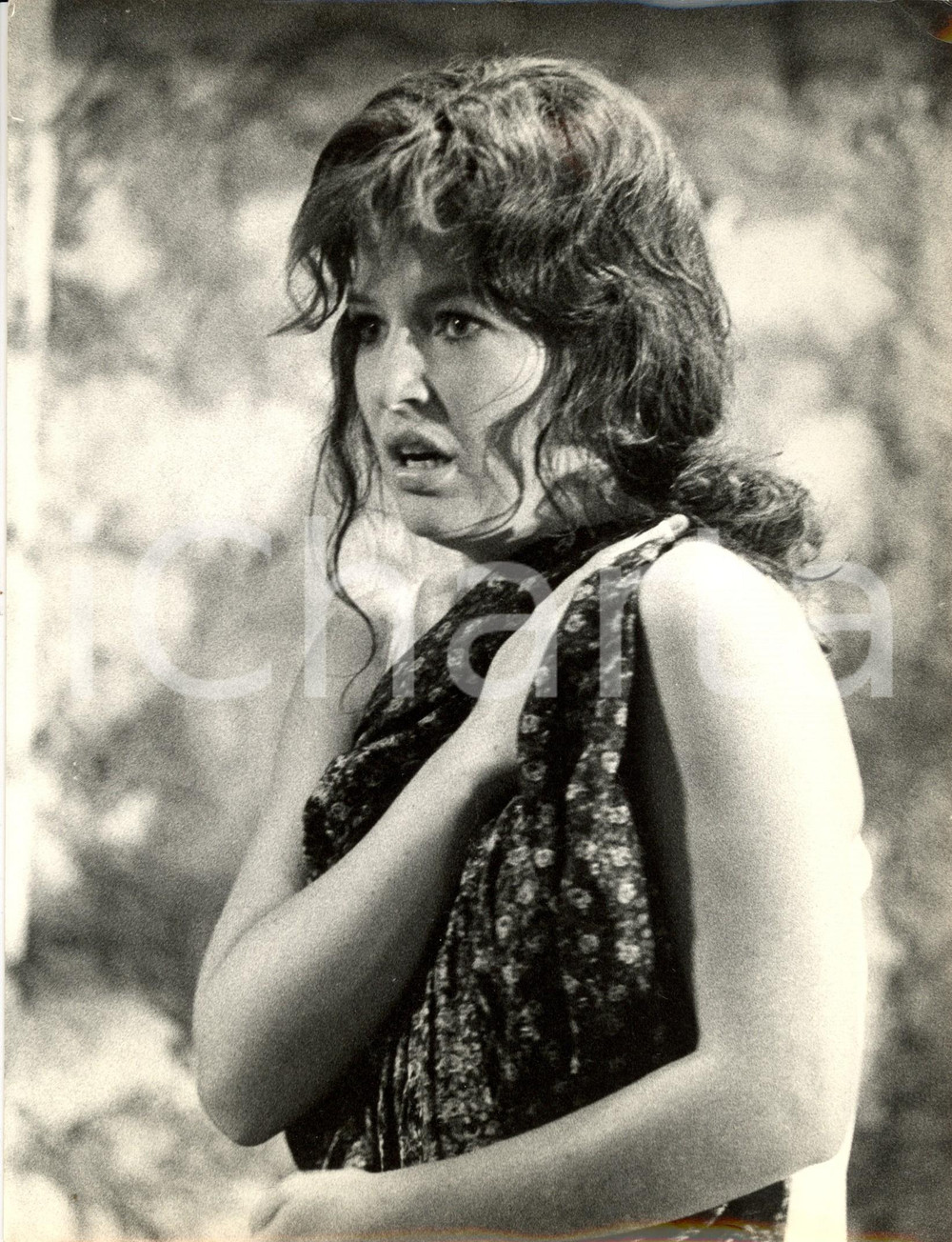 Fotografia d epoca originale 1962 LA SMANIA ADDOSSO Ritratto dell attrice Annette STROYBERG Foto di scena 1