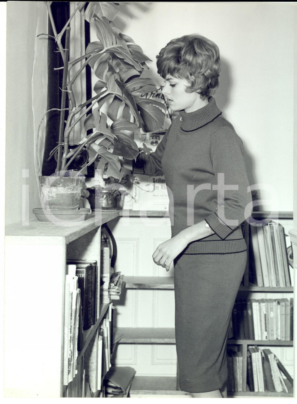 Fotografia d epoca originale 1965 ca PARIS F Perrette PRADIER cura le piante della propria casa Foto LYNX 1