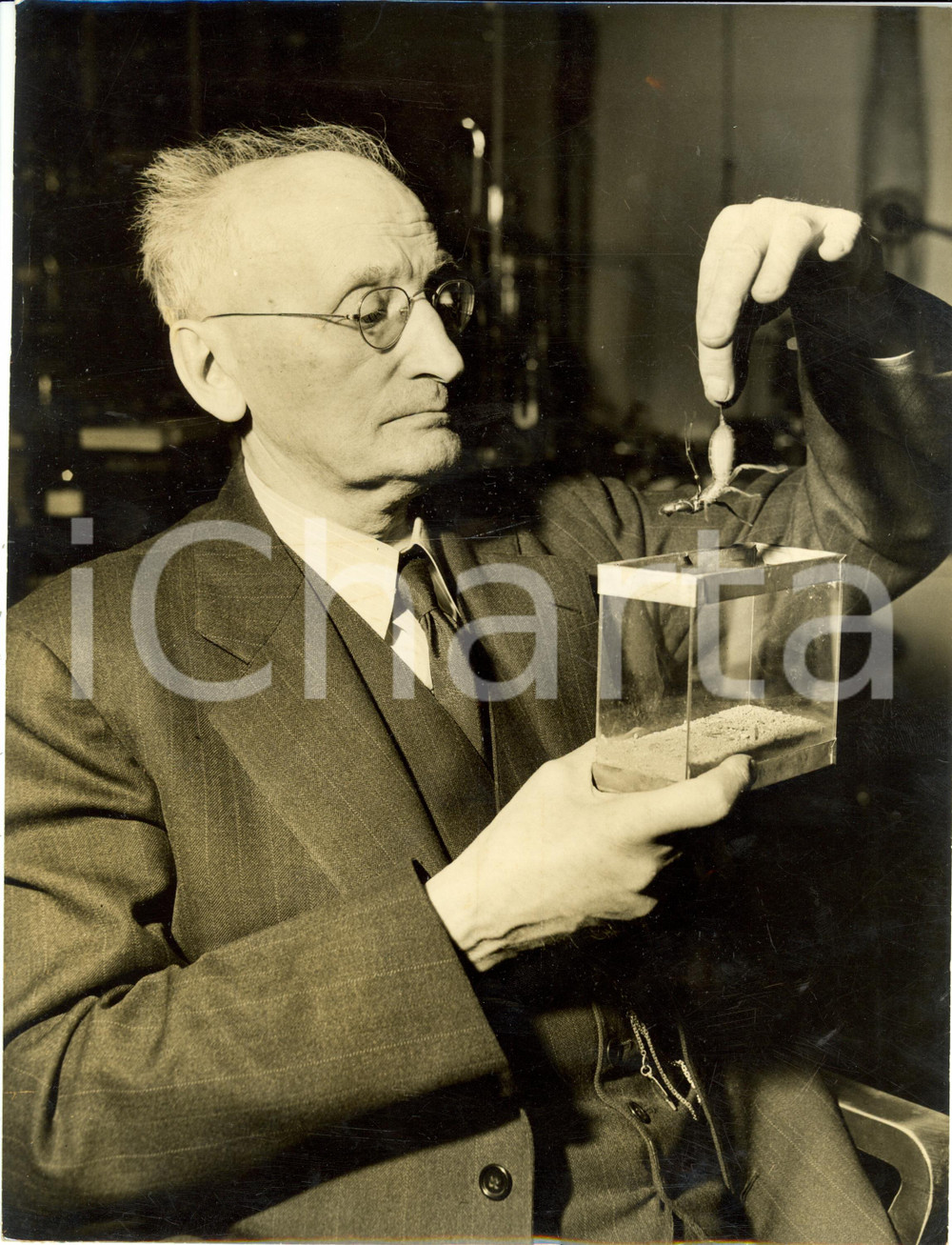 Fotografia d epoca originale 1945 NEW YORK Alexander Ivanovitch PETRUNKEVITCH osserva scorpione FOTOGRAFIA 1