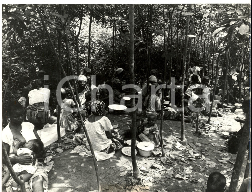 Fotografia d epoca originale 1968 GUERRA DEL BIAFRA Campo profughi nella piantagione di ULLONA Foto 1