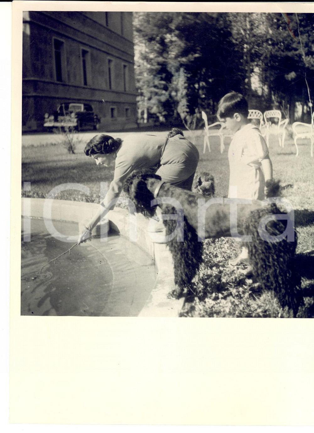 Fotografia d epoca originale 1965 ca LONDON ? Principessa Margaret d INGHILTERRA con il figlio David Foto 1