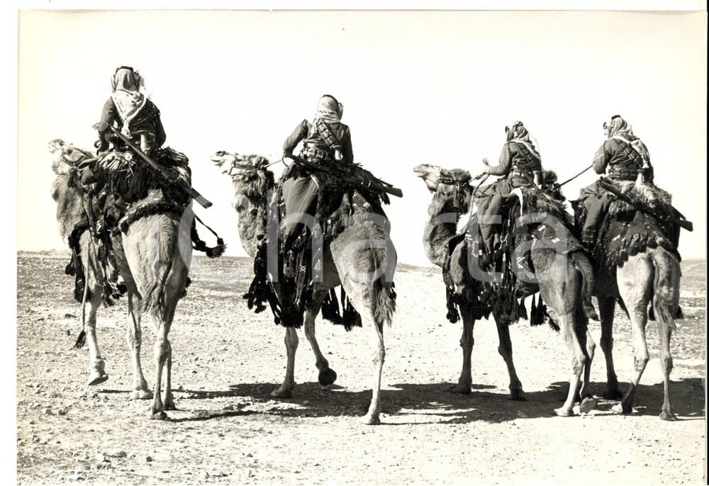 Fotografia d epoca originale 1960 ca GIORDANIA Guardie armate nel deserto a dorso di cammello Fotografia 1