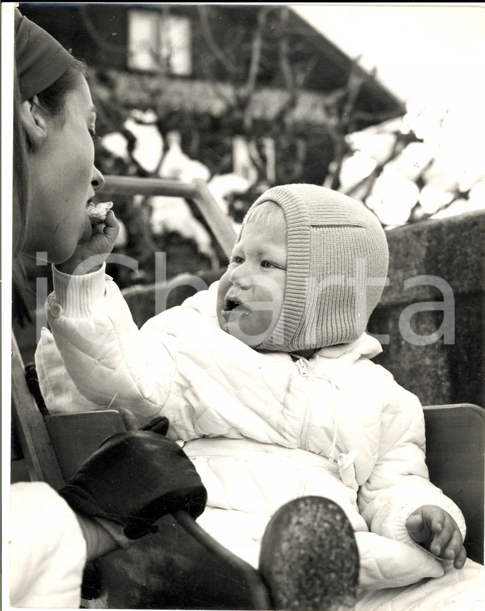 Fotografia d epoca originale 1960 ca GSTAAD ? Principe Filippo del BELGIO bambino imbocca la madre Foto 1
