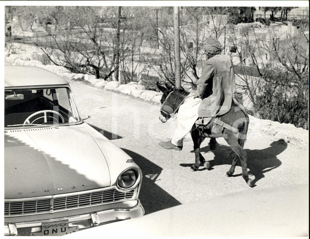Fotografia d epoca originale 1967 GUERRA DEI SEI GIORNI GIORDANIA Uomo a dorso di mulo affianca auto ONU 1