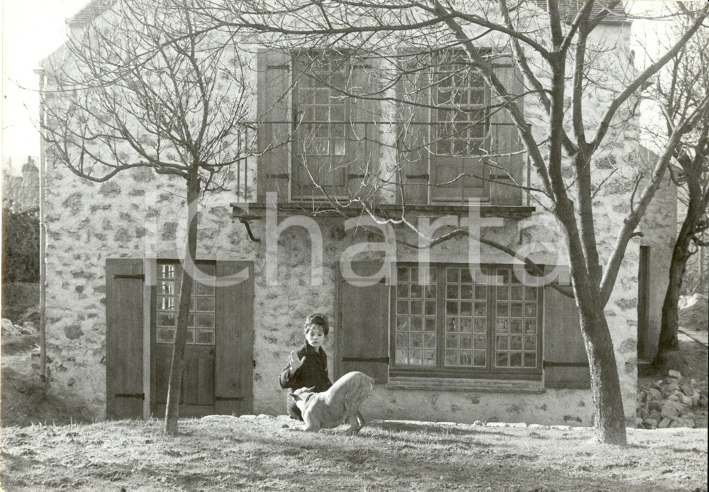 Fotografia d epoca originale 1960 ca FRANCE Attrice Pascale PETIT gioca con cane nella sua casa di campagna 1