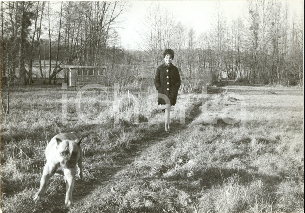 Fotografia d epoca originale 1960 ca FRANCE Attrice Pascale PETIT passeggia con il suo cane in campagna 1