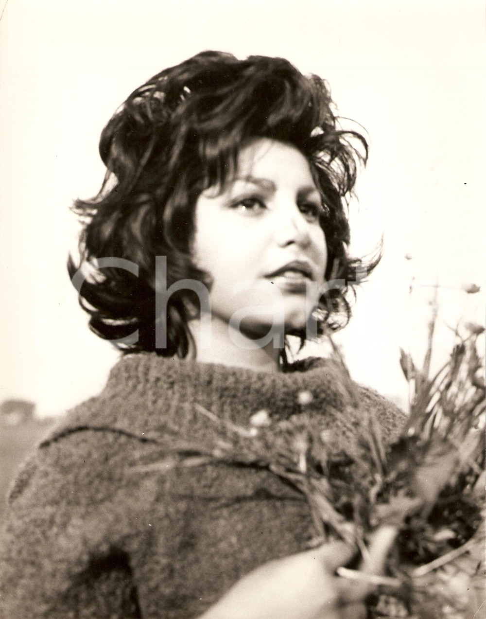 Fotografia d epoca originale 1965 ca Nipote di SORAYA vuole fare l attrice Ritratto con fiori di campo Foto 1