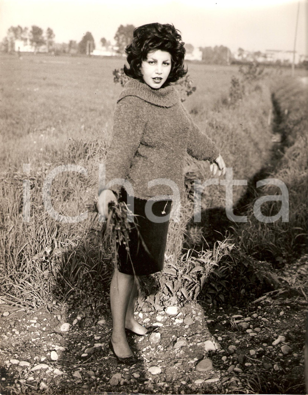 Fotografia d epoca originale 1965 circa Nipote di SORAYA sogna il mondo del cinema Ritratto in un campo Foto 1