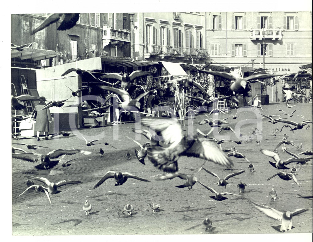 Fotografia d epoca originale 1981 ROMA Volo di colombi su bancarelle natalizie in PIAZZA NAVONA Foto 1