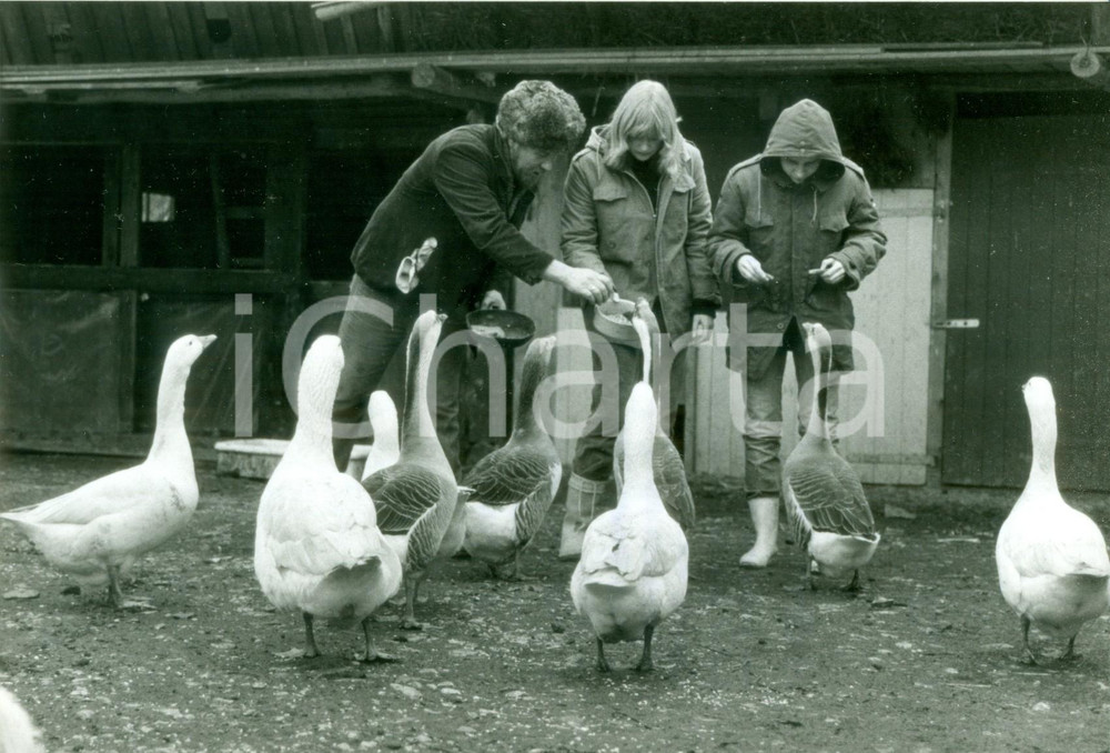 Fotografia d epoca originale 1981 SCHLOSS HAMBORN DE Alunni della WALDORFSCHULE nutrono le oche Fotografia 1
