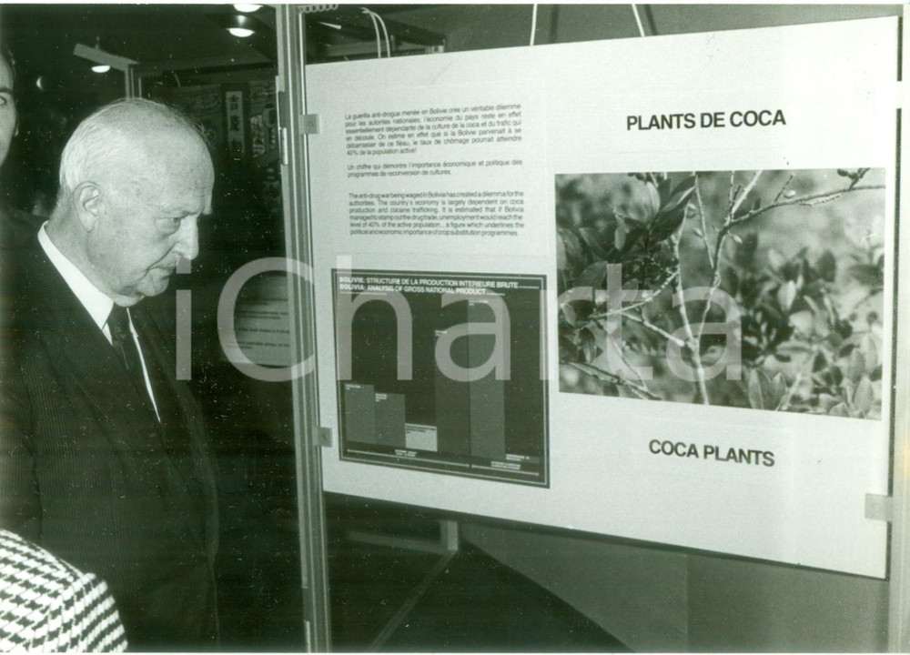 Fotografia d epoca originale 1984 PARIS F Pierre PFLIMLIN osserva pannello di coca della BOLIVIA Fotografia 1