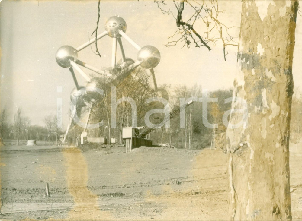 Fotografia d epoca originale 1959 BRUXELLES BELGIO L ATOMIUM nel Parco HEYSEL Fotografia DANNEGGIATA 1
