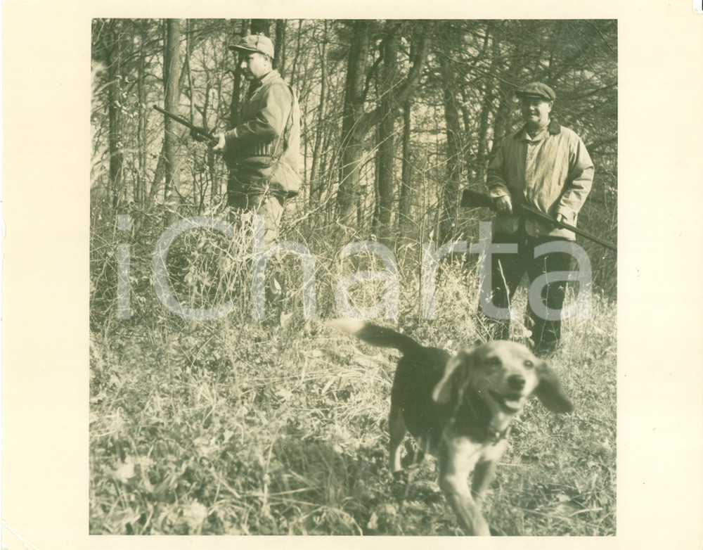 Fotografia d epoca originale 1950 ca MARYLAND USA Macchinista Lee OGIER a caccia con il genero Fotografia 1