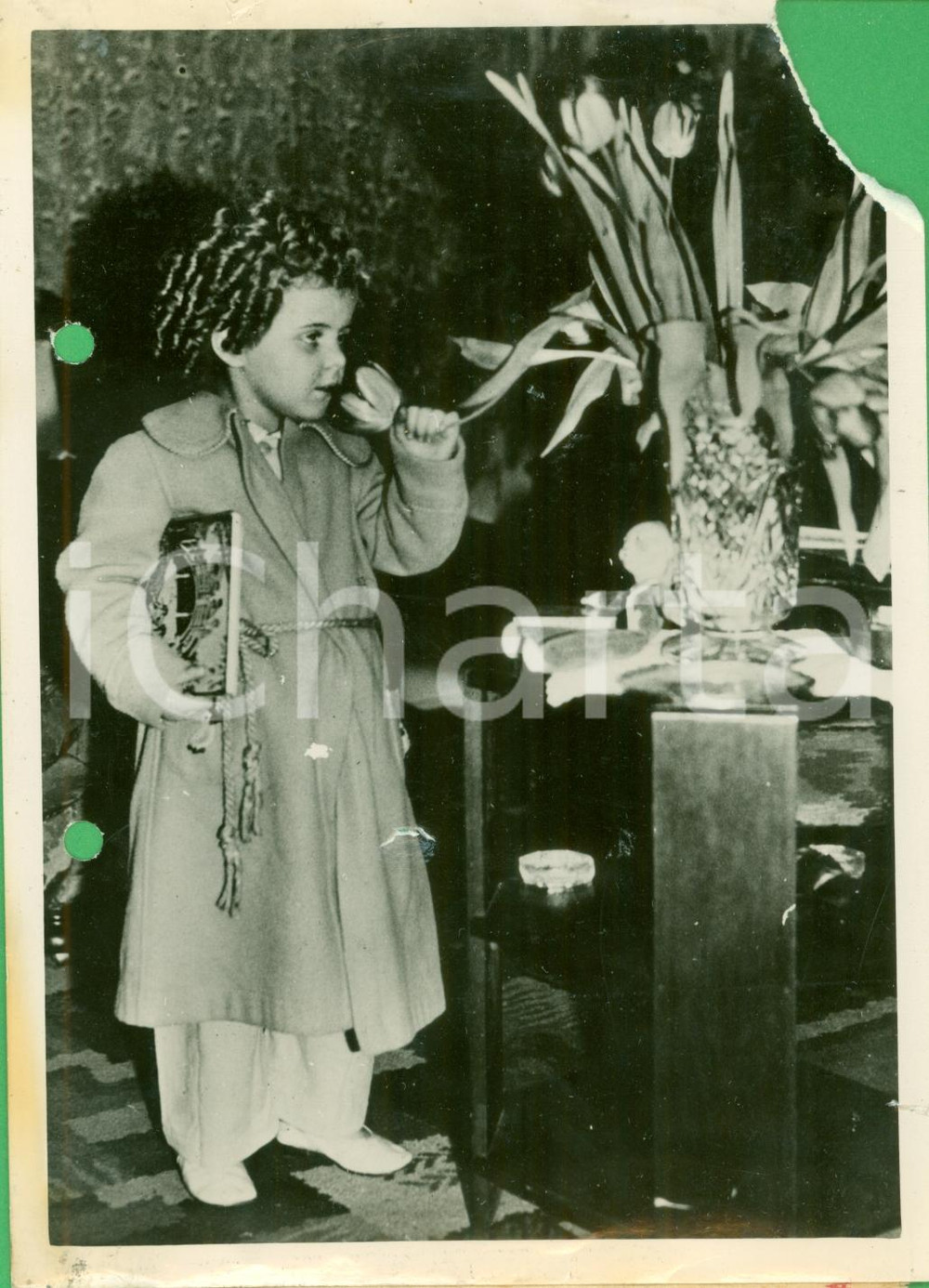 Fotografia d epoca originale 1937 INGHILTERRA Attrice Binkie STUART nuova Shirley TEMPLE Foto DANNEGGIATA 1