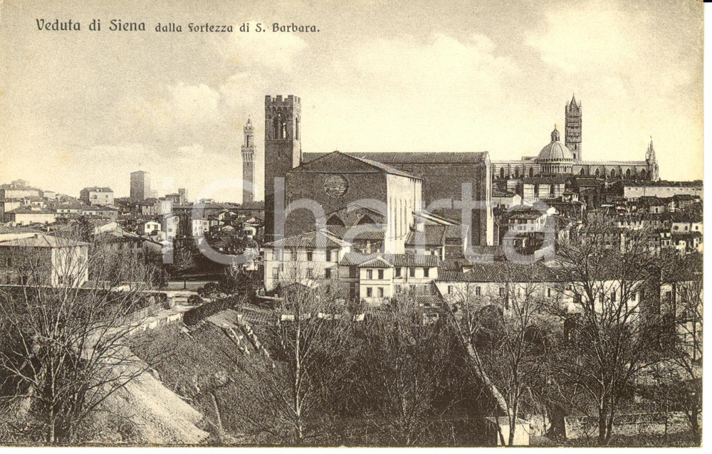Cartolina originale da collezione 1920 ca SIENA La cittÃ  vista dal Forte di SANTA BARBARA Cartolina FP NV 1