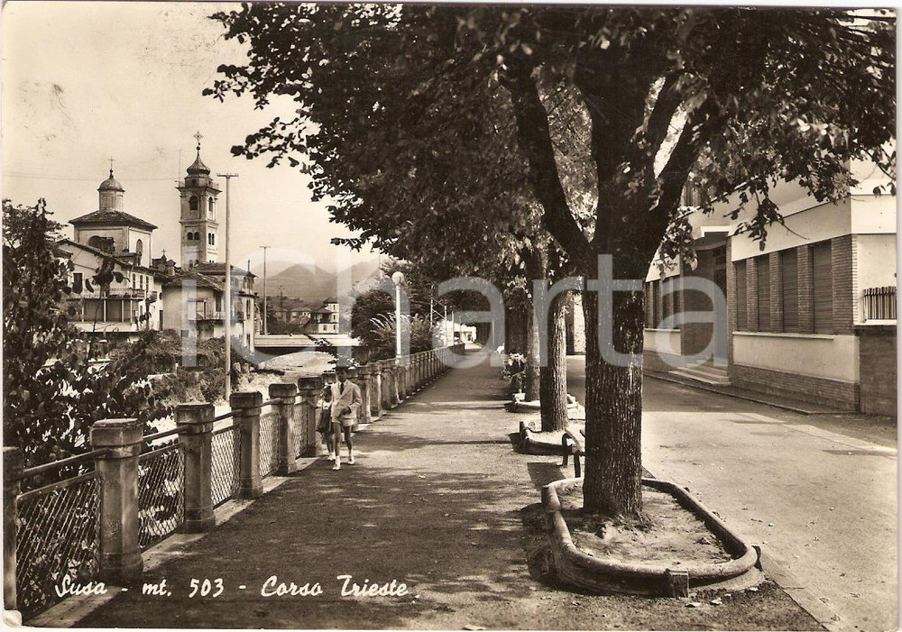 Cartolina originale da collezione 1960 SUSA TO Corso TRIESTE Scorcio panoramico ANIMATA Cartolina FG VG 1