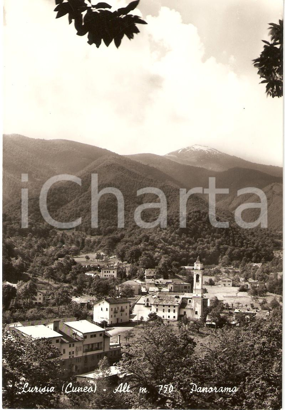 Cartolina originale da collezione 1954 ROCCAFORTE MONDOVI  CN Frazione LURISIA Panorama Cartolina FG VG 1