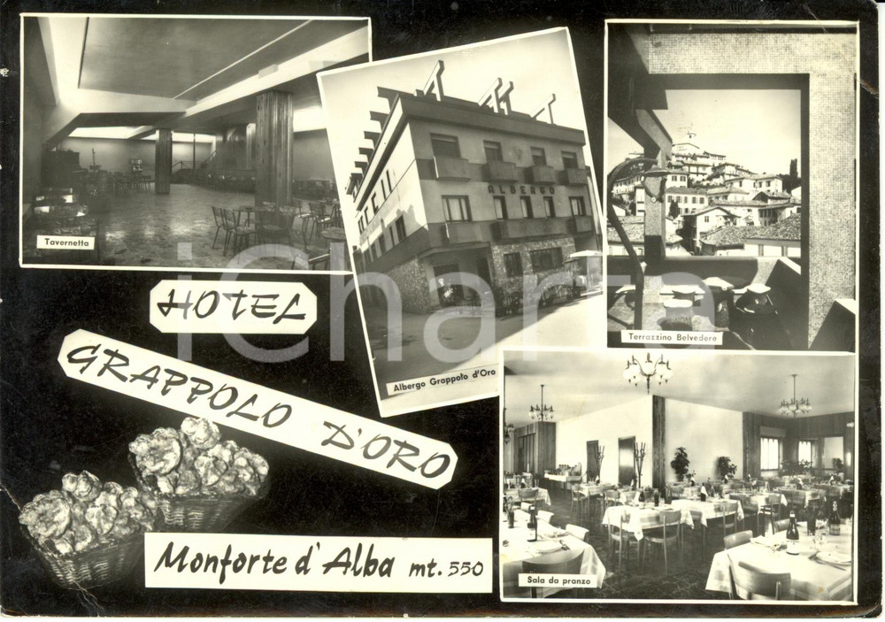 Cartolina originale da collezione 1960 ca MONFORTE D ALBA CN Hotel GRAPPOLO D ORO Vedutine Cartolina FG NV 1