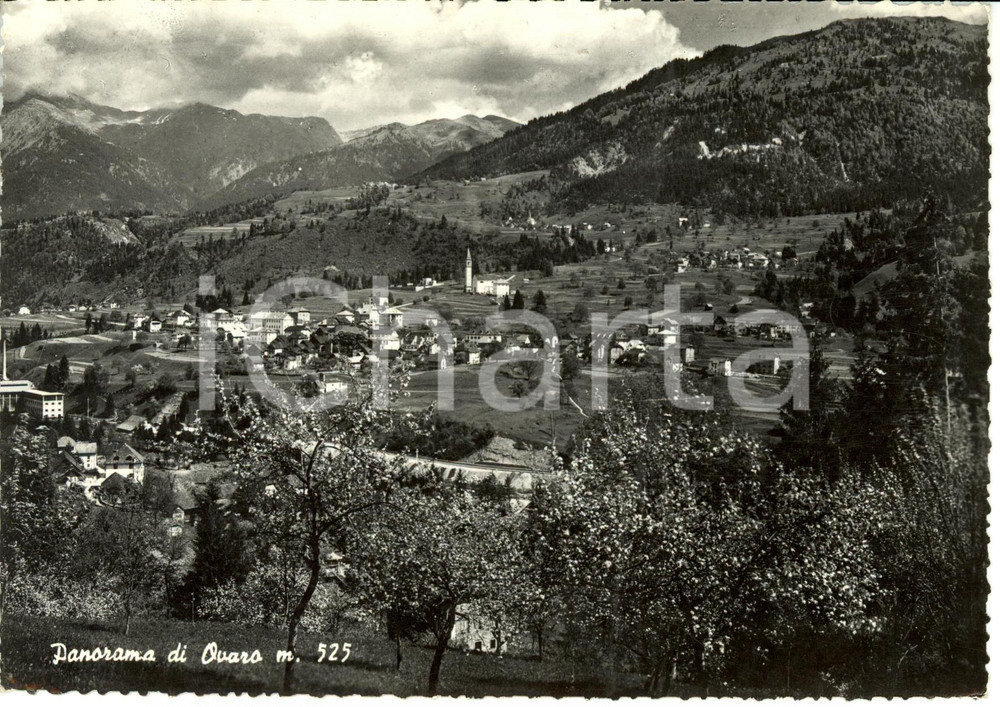 Cartolina originale da collezione 1956 OVARO UD Veduta panoramica del paese Cartolina FG VG 1