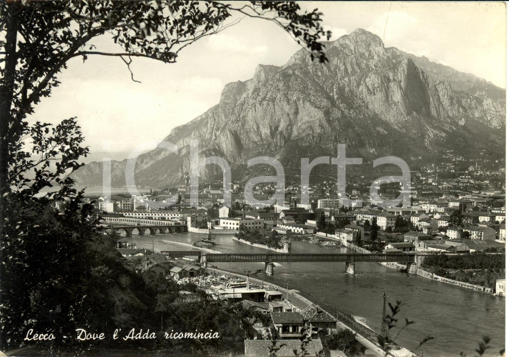 Cartolina originale da collezione 1951 LECCO Veduta panoramica Dove l ADDA ricomincia Cartolina FG VG 1