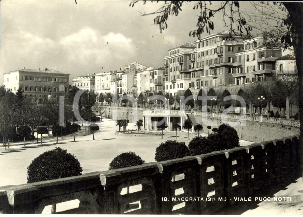 Cartolina originale da collezione 1951 MACERATA Veduta di viale PUCCINOTTI con la rotonda Cartolina ANIMATA FG NV 1