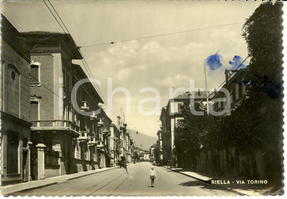 Cartolina originale da collezione 1950 ca BIELLA Calesse attraversa via TORINO Cartolina postale ANIMATA FG VG 1