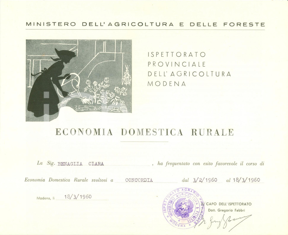 Oggetto da collezione cartaceo 1960 MODENA Attestato Clara BENAGLIA corso Economia Domestica Rurale ILLUSTRATO 1