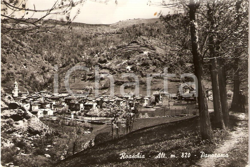 Cartolina originale da collezione 1955 ca ROASCHIA CN Panorama con Chiesa SAN DALMAZZO Cartolina FG NV 1