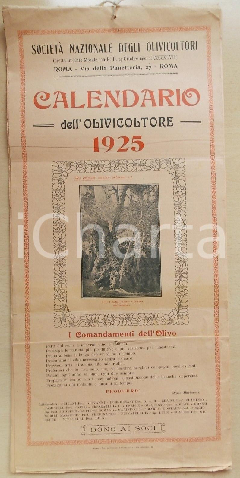 Oggetto da collezione cartaceo 1925 ROMA Calendario dell olivicoltore SocietÃ  Nazionale Olivicoltori 1