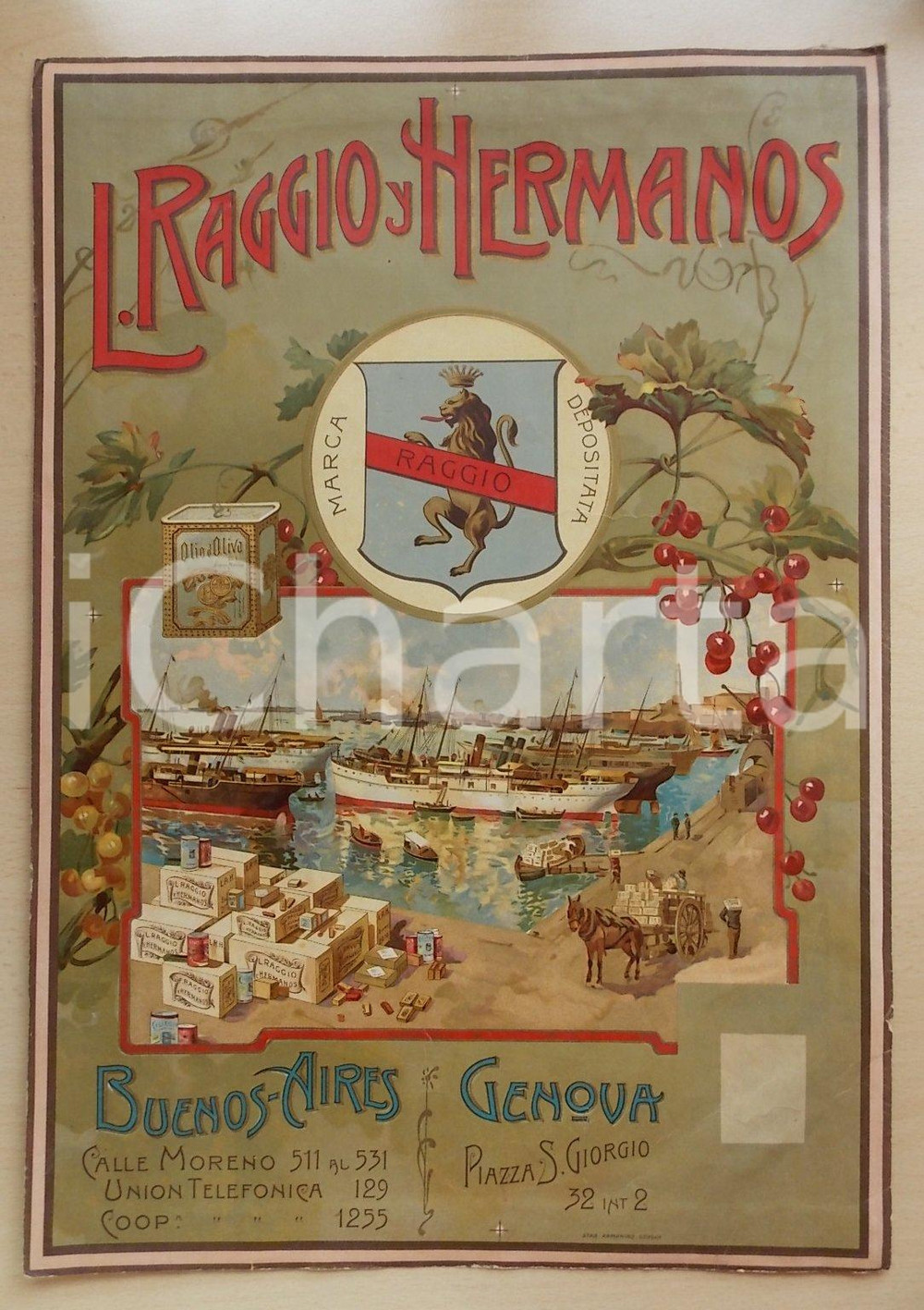 Materiale pubblicitario d’epoca 1910 ca BUENOS AIRES ARGENTINA Lorenzo RAGGIO y Hermanos Olio d oliva MANIFESTO 1