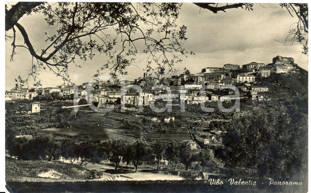 Cartolina originale da collezione 1950 ca VIBO VALENTIA Veduta panoramica Cartolina postale FP VG 1