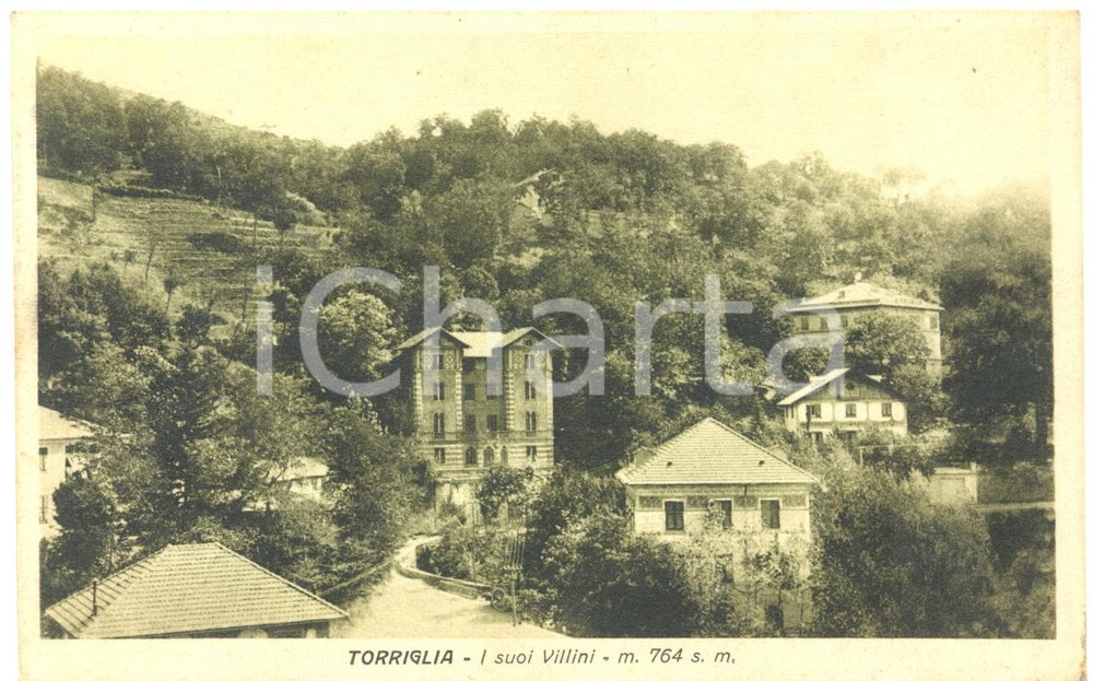 Cartolina originale da collezione 1930 TORRIGLIA GE Prospettiva dei villini Cartolina postale FP VG 1