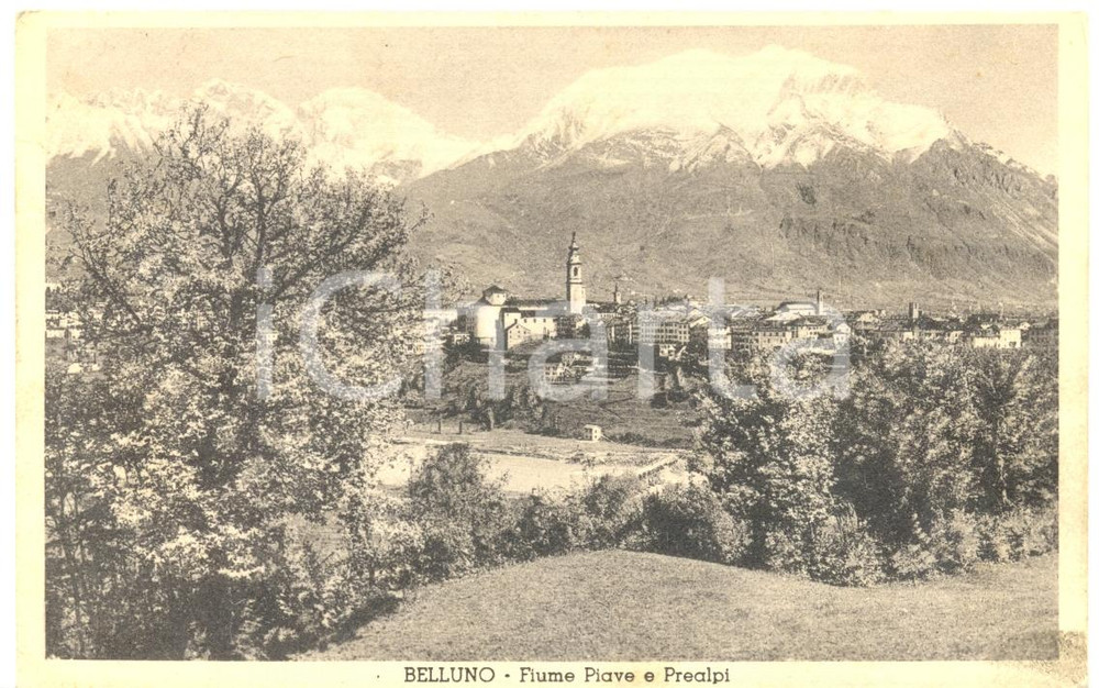 Cartolina originale da collezione 1935 BELLUNO Veduta panoramica con PREALPI Cartolina postale FP VG 1