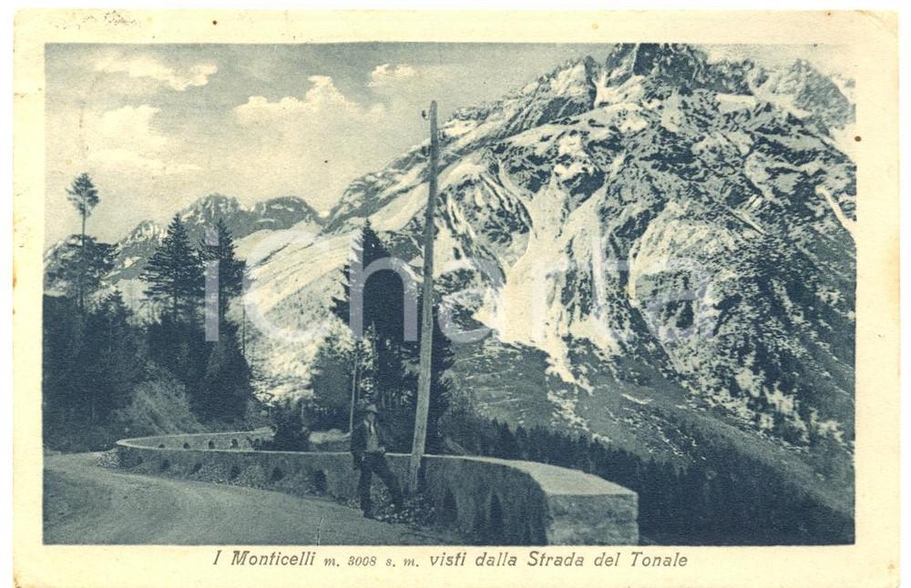 Cartolina originale da collezione 1923 PASSO DEL TONALE TN Strada del TONALE con MONTICELLI Cartolina ANIMATA 1