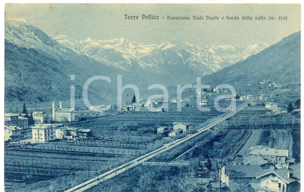 Cartolina originale da collezione 1914 TORRE PELLICE TO Viale DANTE e il fondo valle Cartolina postale FP VG 1
