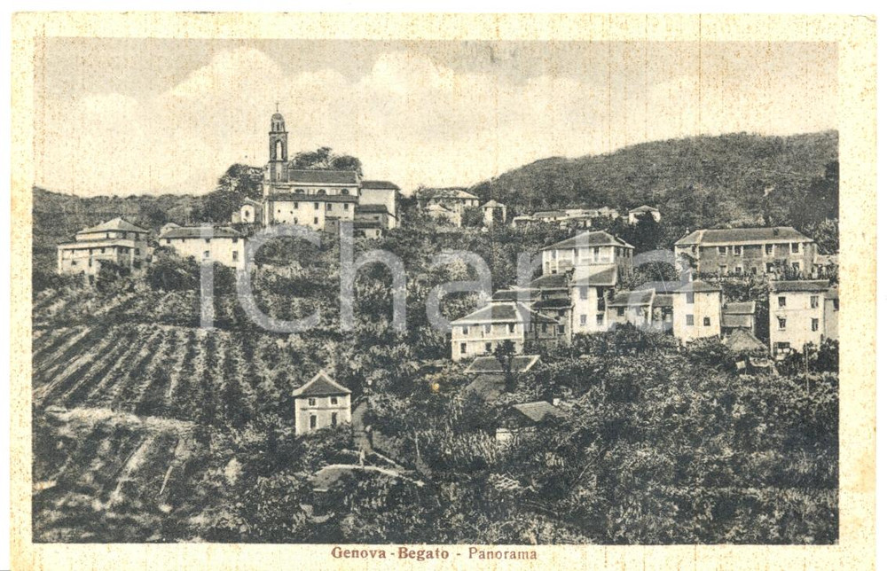 Cartolina originale da collezione 1954 GENOVA Panorama della frazione di BEGATO Cartolina postale FP VG 1