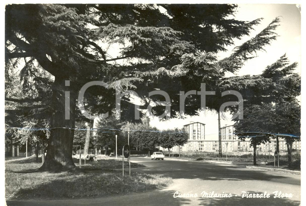 Cartolina originale da collezione 1967 CUSANO MILANINO MI Piazzale FLORA Cartolina DANNEGGIATA FG VG 1