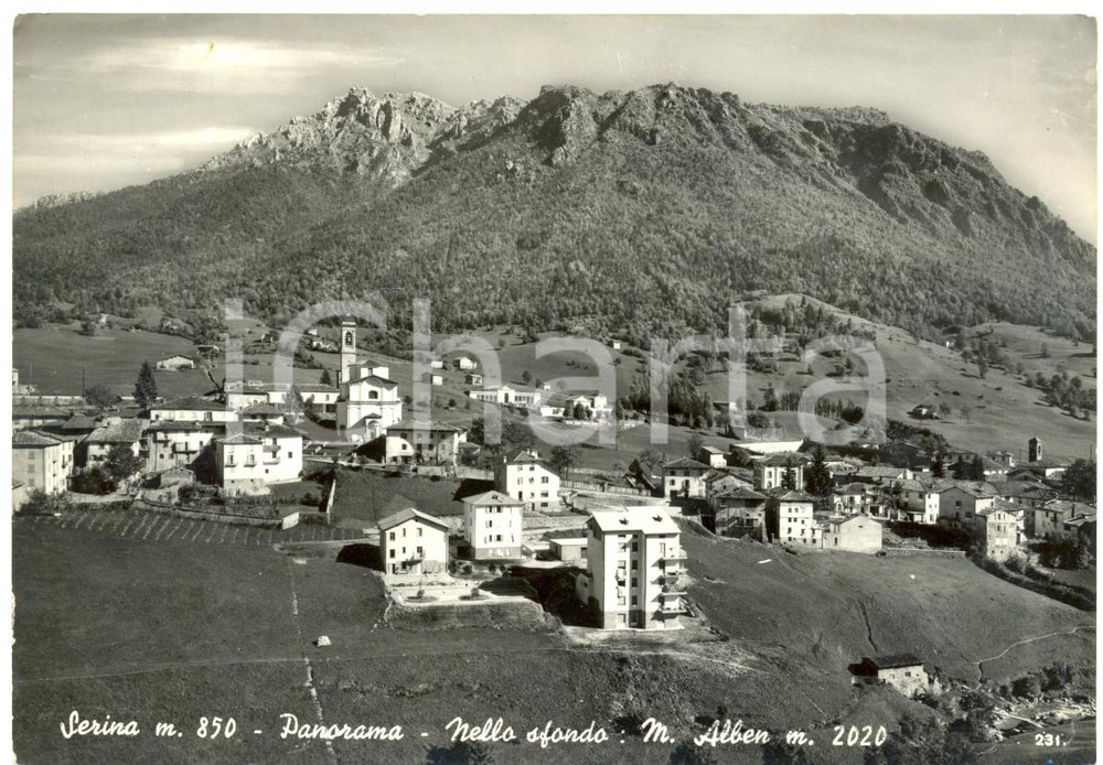 Cartolina originale da collezione 1955 SERINA BG Vallata con Monte ALBEN Cartolina postale FG VG 1