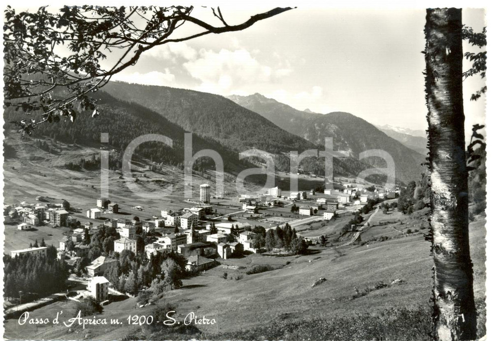 Cartolina originale da collezione 1967 CORTENO GOLGI BS Frazione SAN PIETRO Passo d APRICA Cartolina FG VG 1