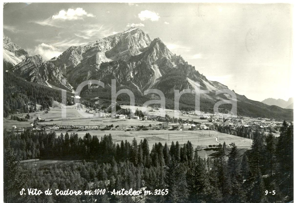 Cartolina originale da collezione 1959 SAN VITO DI CADORE BL Il Monte ANTELAO Cartolina postale FG VG 1