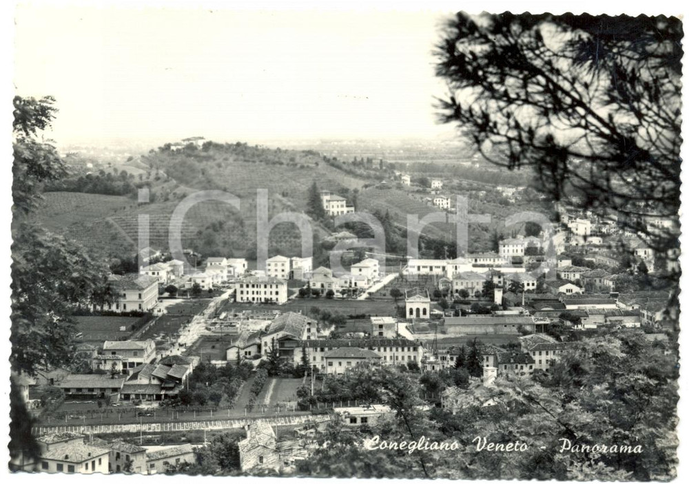 Cartolina originale da collezione 1959 CONEGLIANO VENETO TV Veduta aerea Cartolina postale FG VG 1