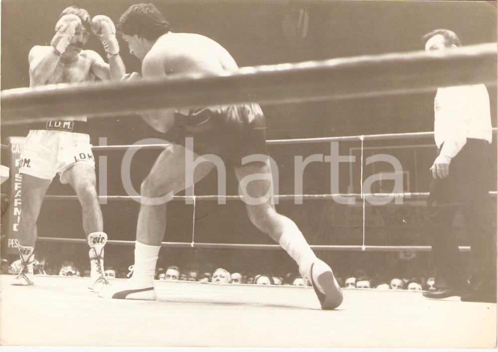 Fotografia d epoca originale 1980 PESARO Pugilato Damiano LASSANDRO  Marijan BENES incontro Fotografia 1
