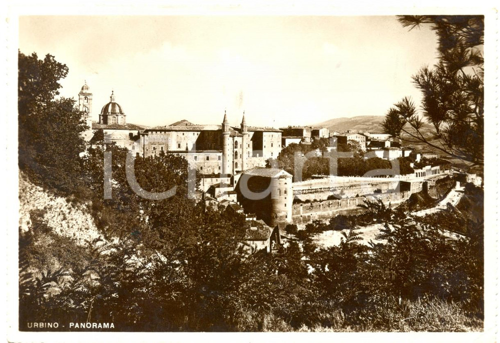 Cartolina originale da collezione 1949 URBINO Panorama della cittÃ  con il castello Cartolina postale FG VG 1