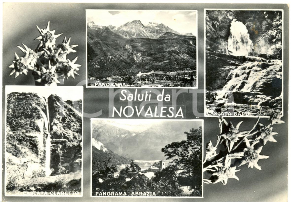 Cartolina originale da collezione 1962 NOVALESA TO Vedutine con Abbazia benedettina SANTI PIETRO E ANDREA FG VG 1