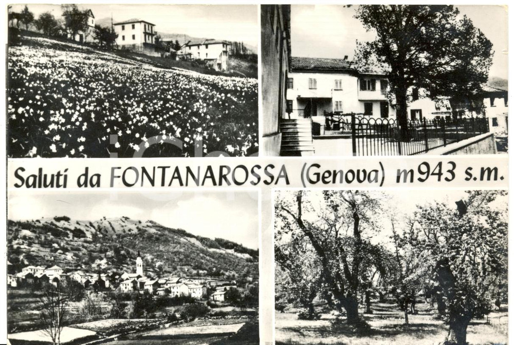 Cartolina originale da collezione 1967 GORRETO GE Frazione FONTANAROSSA Verdutine Cartolina FG VG 1